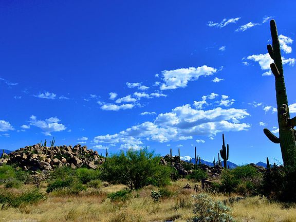 3rd image of 1484 W Tortolita Mountain Cir