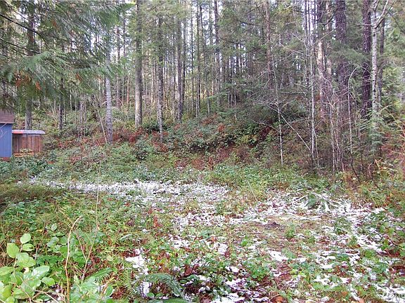 3rd image of 180 N Duckabush Loop W