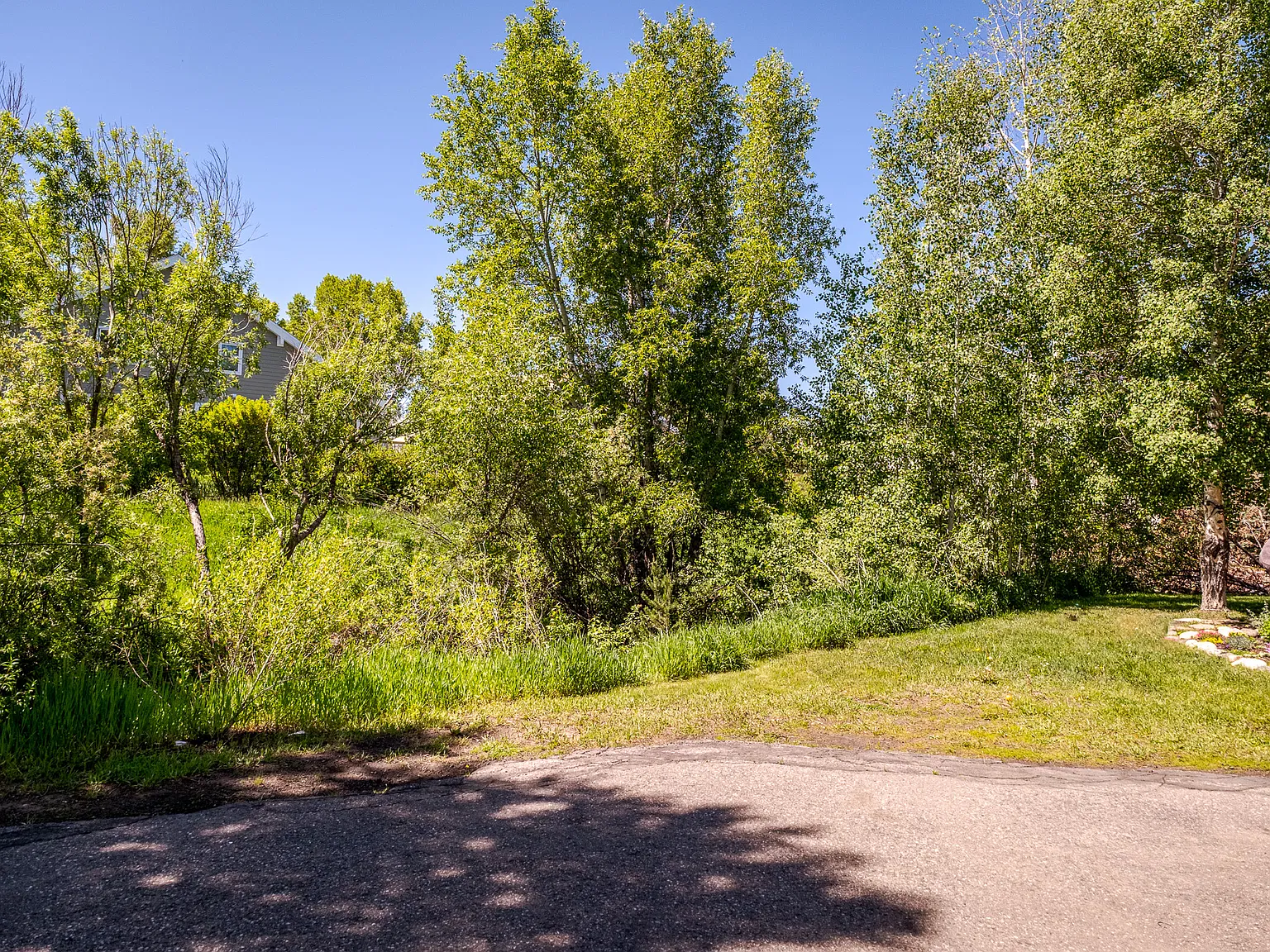 2 bed, 1.5 bath, 968 sqft, $3,000 — Photo 3