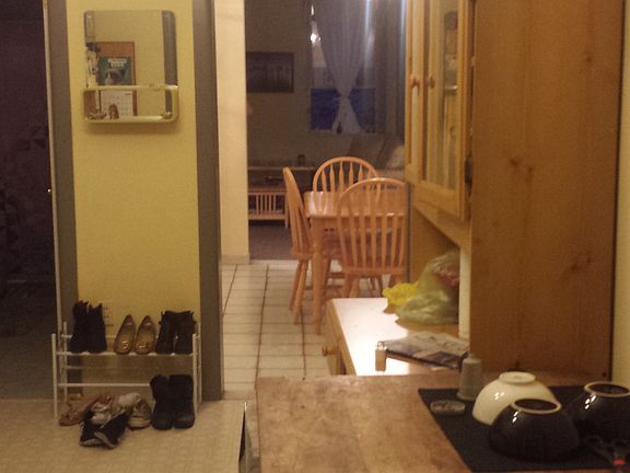 View of the full length of the apartment