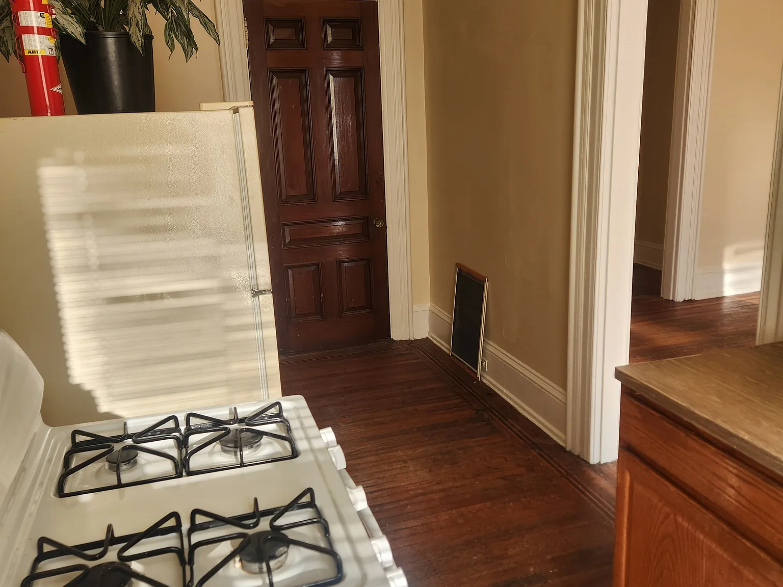 1 bed, $950 — Photo 3
