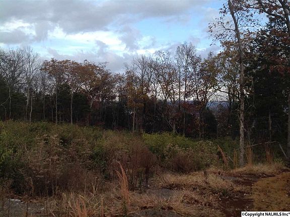 5th image of 4040 Hawks Way NE