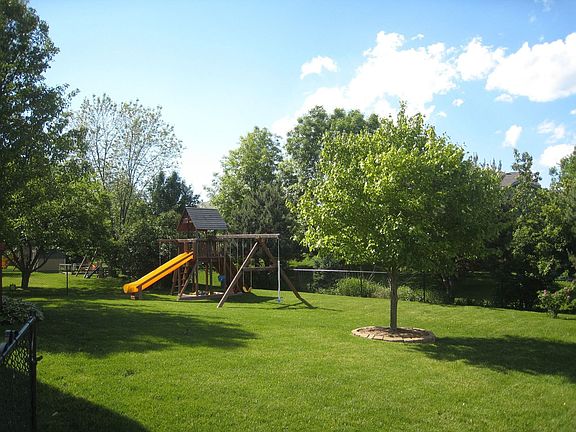 Current Back Yard View