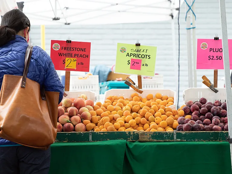 Farmer's Market at Star Harbor Apartments & Townhomes in Alameda, CA.
