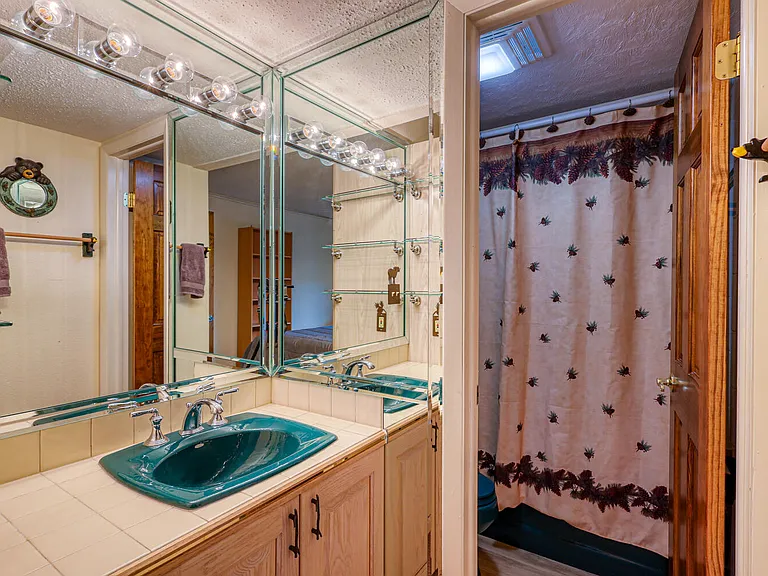 1063 Vail View Dr #1-1LIONS — Photo 8