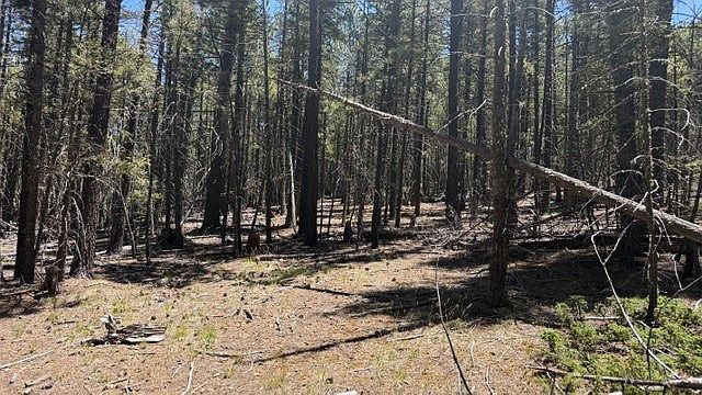 1st image of Sawyer Mesa Rd