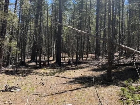 Sawyer Mesa Rd, Pecos, NM 87552