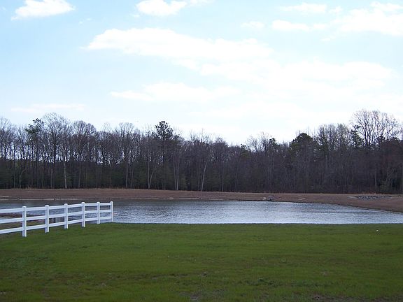 Pond Views