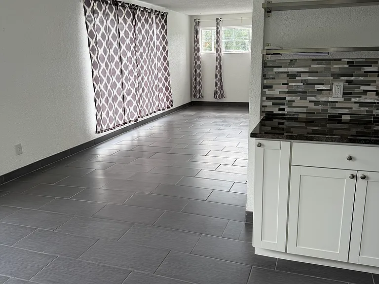 1508 E Robinson St #1510-1/2 — Photo 3