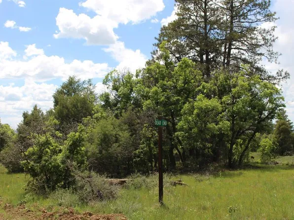 13 Butzke Court, Pagosa Springs, CO 81147