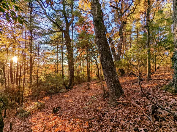 0 Majestic View Ln NW, Floyd, VA 24091