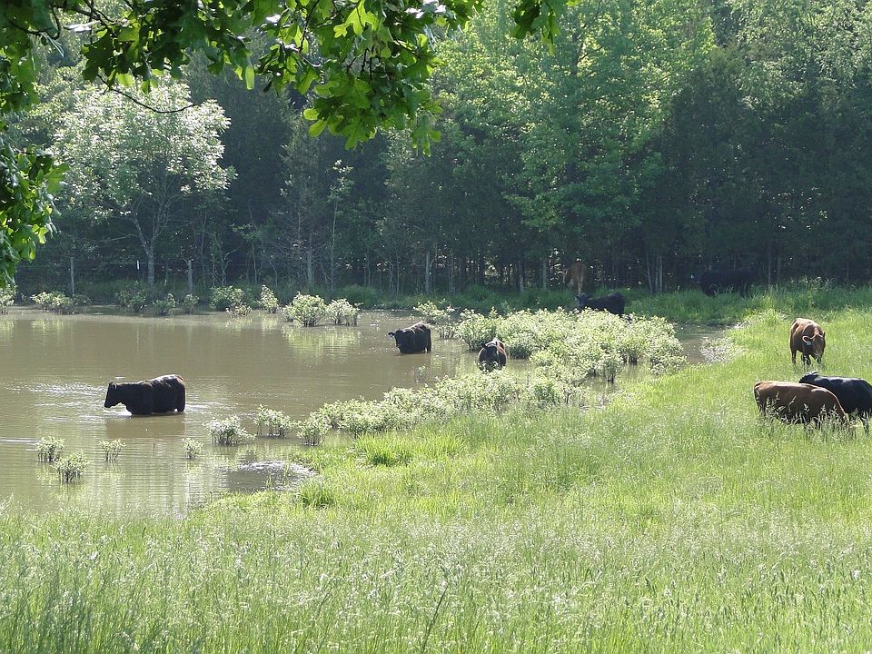 1st image of 1911 Ar 354 Hwy