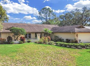 305 Running Horse Rd, Seffner, FL 33584