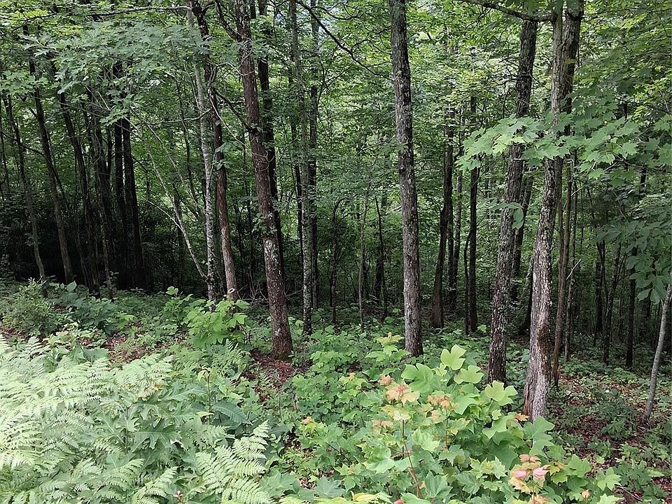 2nd image of Preservation Trl #47