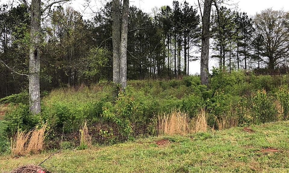 1st image of 41 Berkmar Way Lot 56