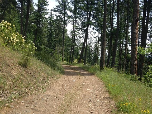 5th image of 52331 Highway 200