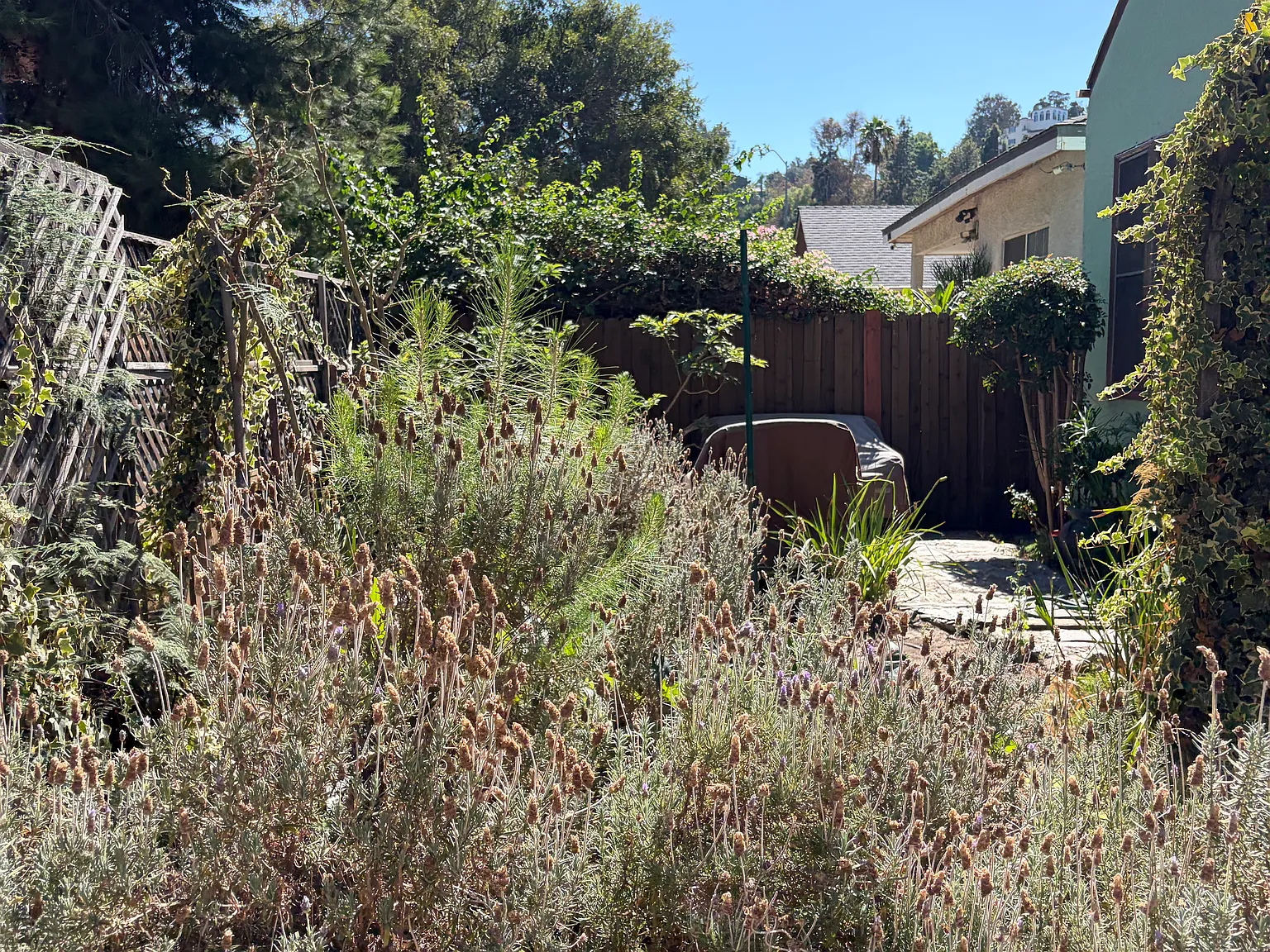 Studio, 300 sqft, $2,000 — Photo 4