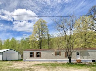 388 Gingell Rd, Johannesburg, MI 49751