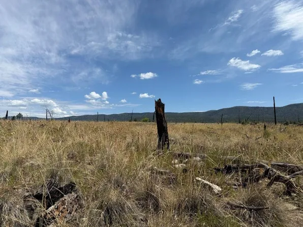 11 Tokatee Ct, Timberon, NM 88350