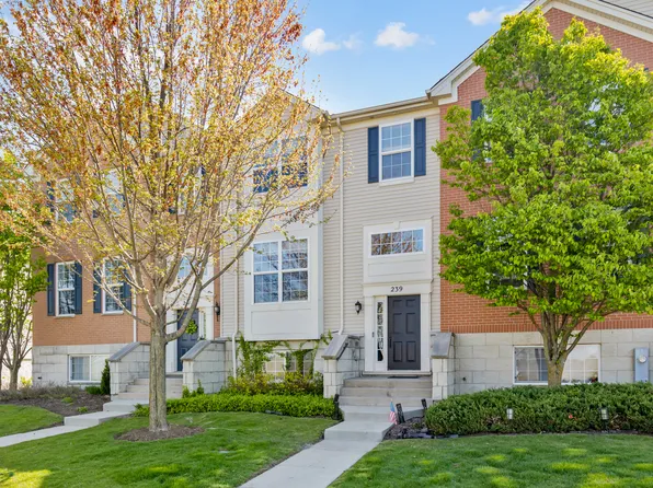 239 Jackson St #239, Gilberts, IL 60136