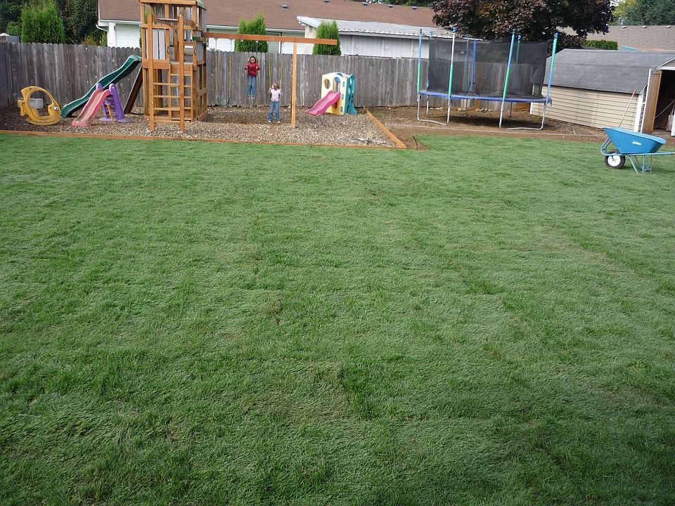 updated lawn with sprinkler system