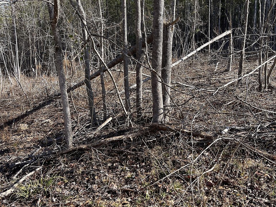 2nd image of NULLC Horseshoe Bend Rd