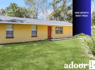 1503 N Wardell St, Mount Dora, FL 32757