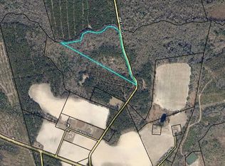 791 Jim Futch Rd, Pembroke, GA 31321