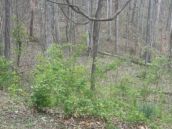 3rd image of Mountain Grove Ln