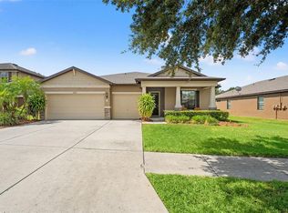 2226 Landside Dr, Valrico, FL 33594
