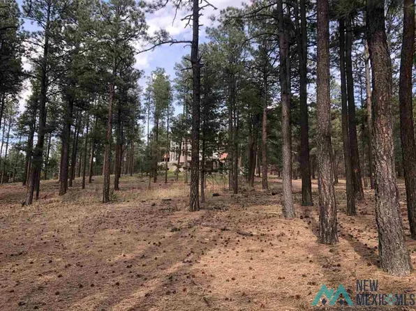 16 Alta Vista Dr, Rociada, NM 87742
