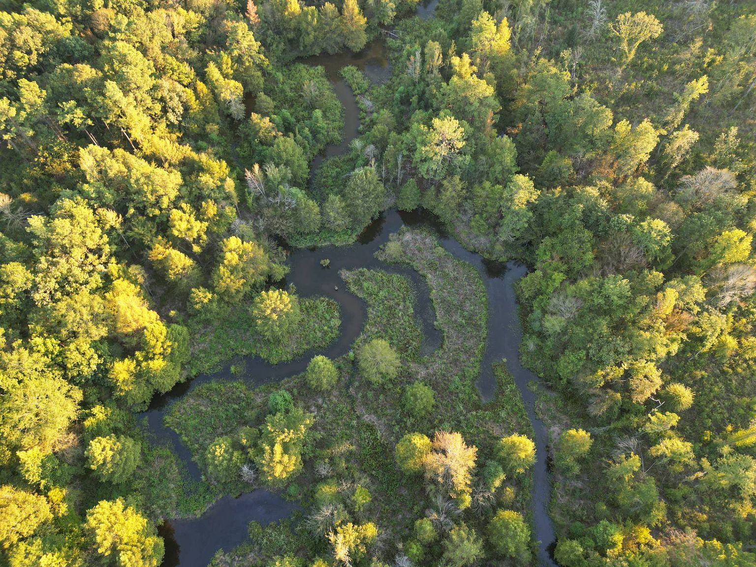 Highway 126 W, Grayson, LA 71435 MLS 11211286 Zillow