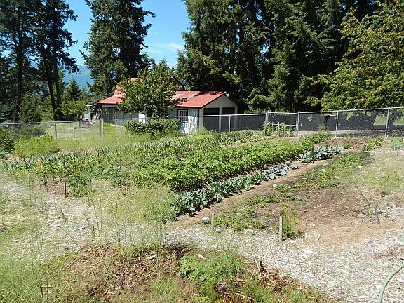 garden, shop in background