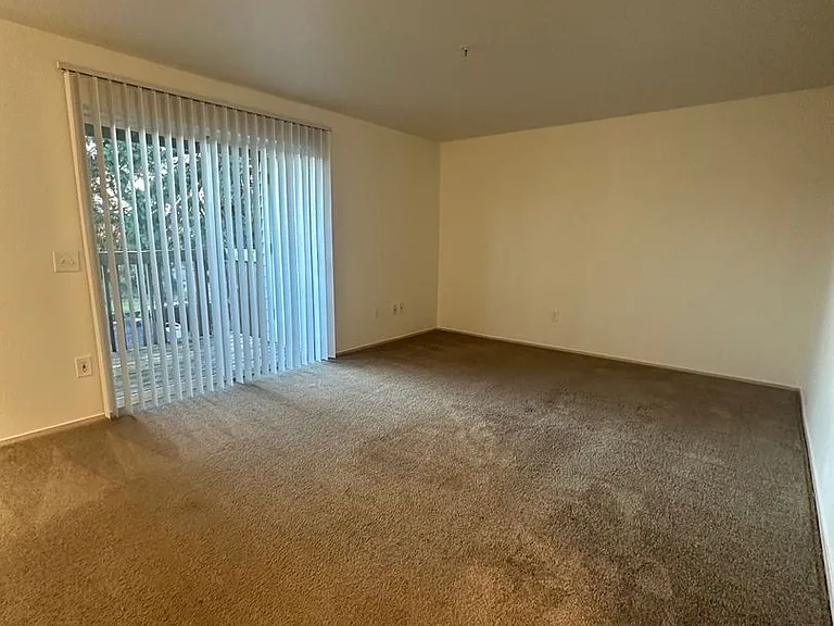5110 10th Ave NE — Photo 6