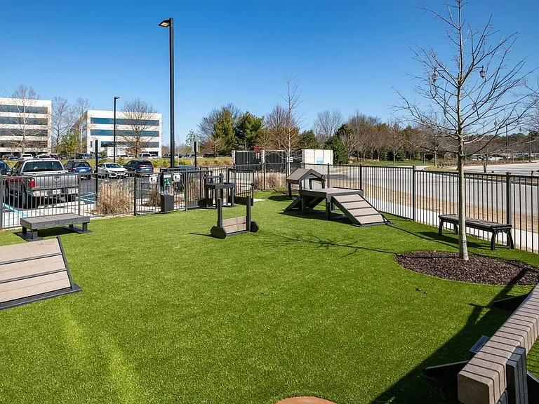 Dog Park