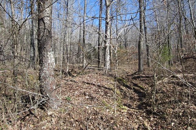 2nd image of 0 Old Linden Rd