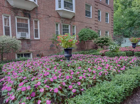 117-01 Park Lane South image 34 of 34