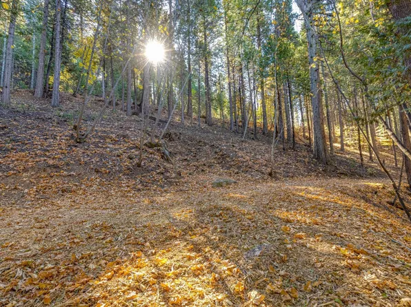 1472 Greensboro Way, Arnold, CA 95223