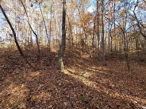 5th image of 0 Blackburn Hollow Rd NW Lot 100ACRES