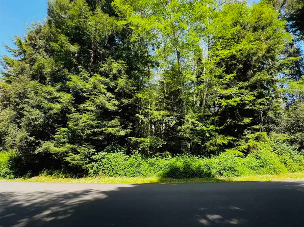 12 Bell Hole Loop, Crescent City, CA 95531