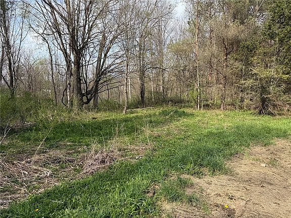 5th image of 14245 Collin Center Zoar Rd Lot 16