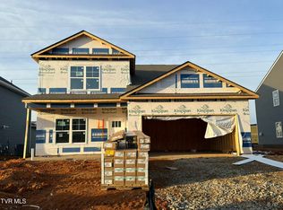 236 Chimney View Loop, Blountville, TN 37617