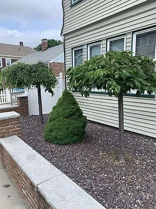 87 Faywood Ave — Photo 31