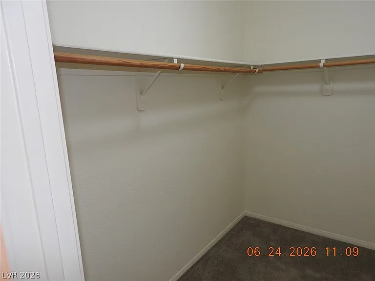 521 Dolphin Peak Ct — Photo 28