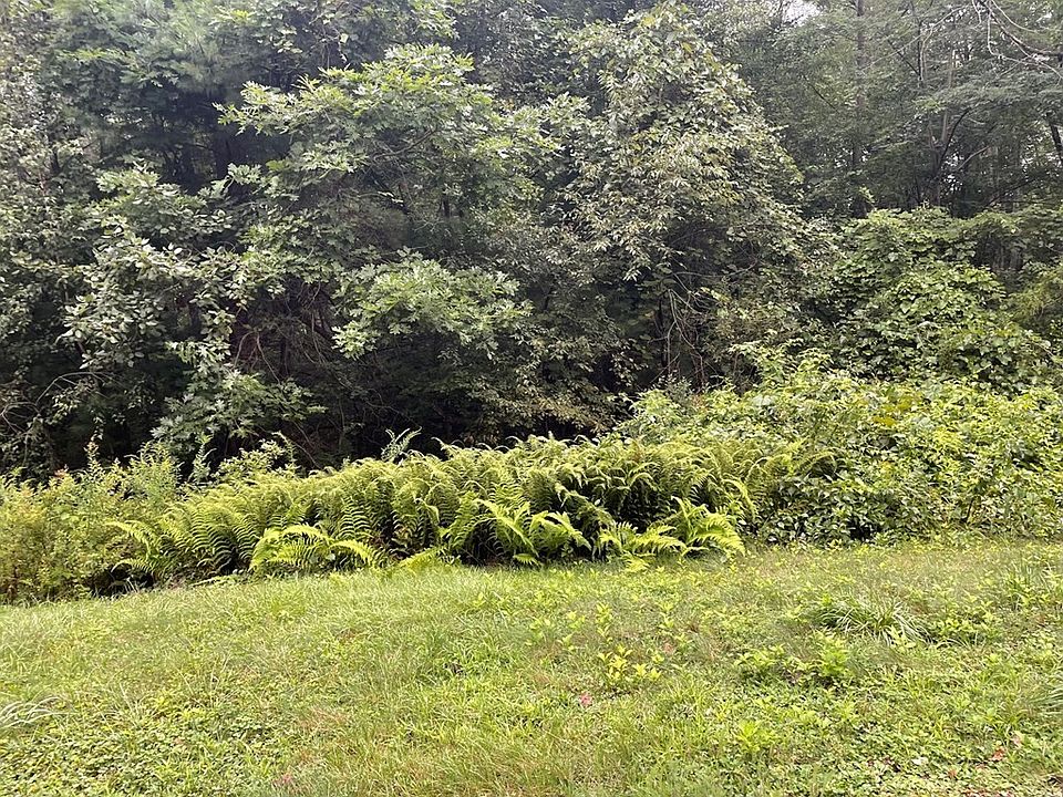 2nd image of 26 Florence Rd