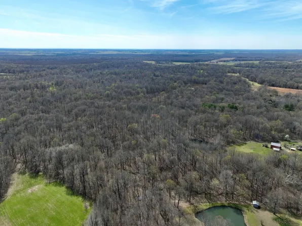 State Route 1748 Lot Wp001, Fancy Farm, KY 42039