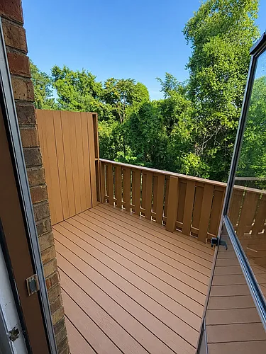 3700 Tigerbelle Dr Photo 1