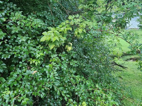 705 Lansing Ct, Wallingford, PA 19086