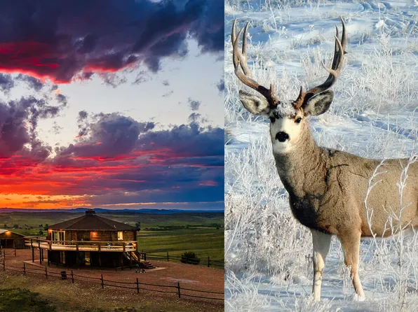 593 Lower Prairie Dog Rd, Sheridan, WY 82801