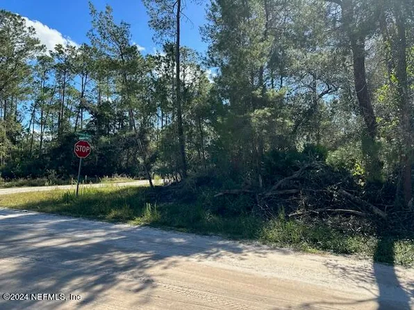 211 SEMINOLE Trail, Georgetown, FL 32139